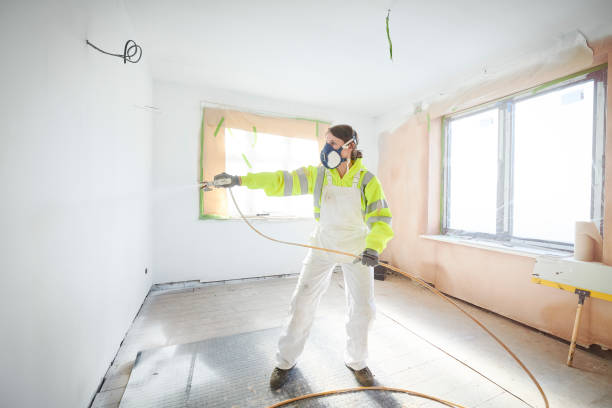 Professional Mold Removal in Winsted, CT