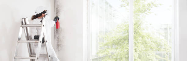 Best Commercial Mold Inspection  in Winsted, CT